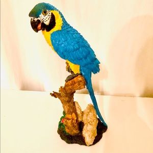 BeachGoers Tropical Blue Breeze Parrot! Yellow, Black, and White Accents